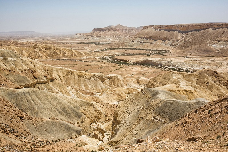 Negev Desert Israel