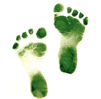 green_footsteps_II