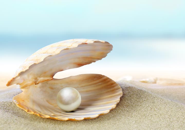 perla conchiglia spiaggia PJmagazine