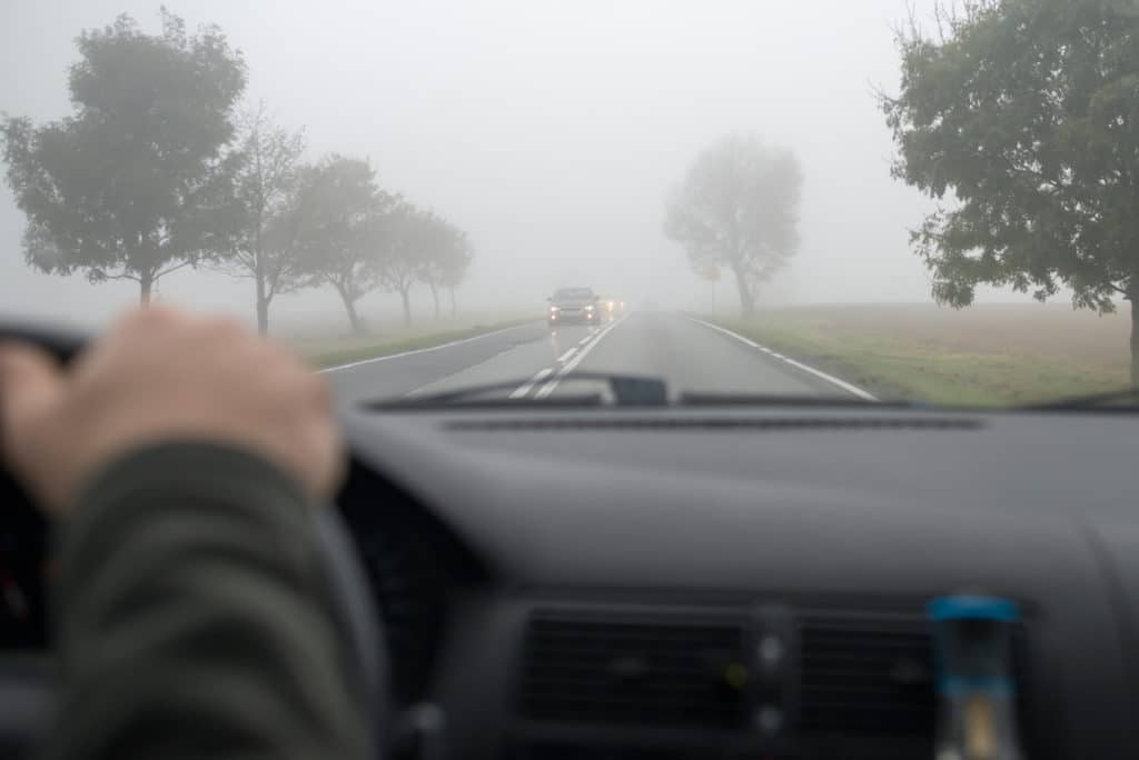 Nebbia e guida sicura